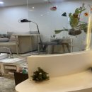 블링더뷰티 이미지