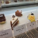파린두스 이미지