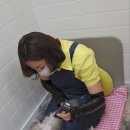 삐삐그루밍 이미지