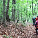 웅치마을길 이미지