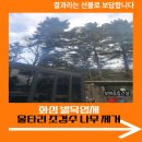 오산2리 | 화성 벌목업체 울타리 조경수 나무 제거