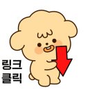 네일티엔느
