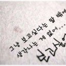 디엔아이 이미지