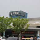 보리 여행사