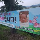 풍각전자 이미지