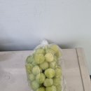 감문면보건지소 이미지