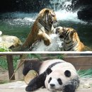 반야농장 이미지