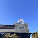 고양이동산 | [공지] 고양이 카페(고양이동산 방문 후기)