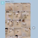 개러리아 송파점 이미지