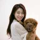 도그스타 이미지