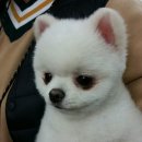 플리마코협동조합 이미지