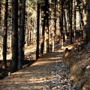 힐리언스 이미지