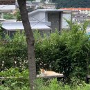[블챌] #6 : 7월 넷째주