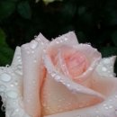 선비학당 이미지