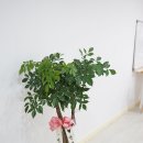 바인세라믹 이미지