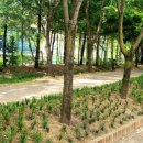 동백고등학교 이미지