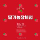 동삭 월드태권도장 이미지