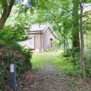 삼애식품 이미지