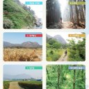 마련~도솔암약수터 이미지