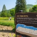 카페더유월 이미지