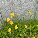 한나이비인후과의원 이미지