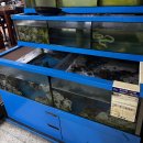 무교낙지 이미지