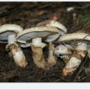 용암2리 이미지