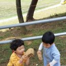 신동목장 이미지