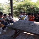 풀빛공원 유아숲체험원 이미지