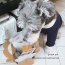 댕댕방앗간 이미지