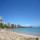 와이키키 이미지