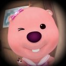 돌섬앞바다 이미지