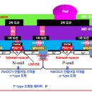 에스엠자산관리 이미지