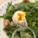 삐삐 | 이태원 맛집 / 이태원 프렌치 맛집 <메르씨삐삐> 솔직 방문 후기