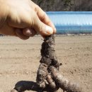 선운 농장 이미지