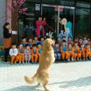 마루유치원 이미지