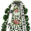 이은순 이미지