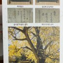 금시당 공용화장실 이미지