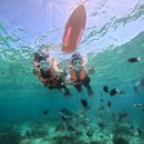 한국바젤요젤클럽 | 세부 3박4일 자유여행 3일차::클럽호핑투어, 망이나살, 연화, 라이브바 쿠바나, 소토그란데 리조트