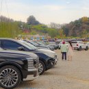 성웅농장 | 아산 피나클랜드 튤립축제 6월까지 계속되는 환상적인 풍경