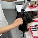 헤어미용사 이미지