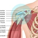 맘편한한의원 이미지