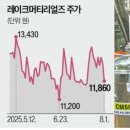 레디영약국 이미지