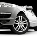 토마토 카써비스 이미지