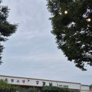 금모래가든 이미지