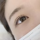 7233 | 강남 속눈썹펌 잘하는 곳 "비올래쉬" 펌포인트 연장 후기