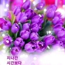 봄, 희망의소리 이미지