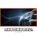 랩플렉스 - 10081 | 랩플렉스