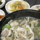 다오네식당