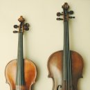 유양초등학교 이미지